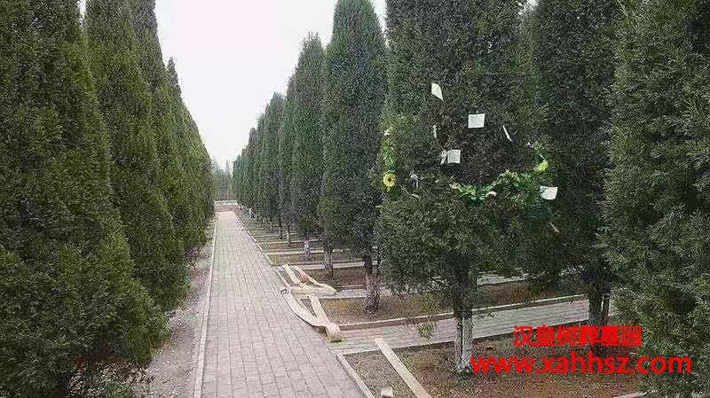 重庆公墓树葬都有哪些优点和缺点？